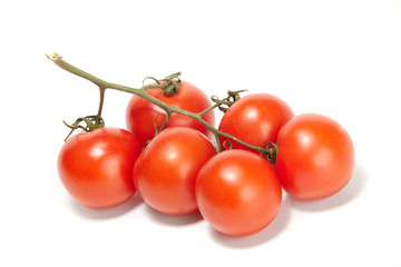 fresh tomatoes