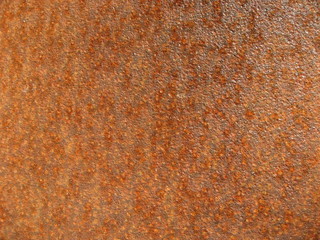 rouille