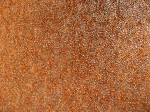 rouille