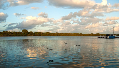 Sunrise on the river