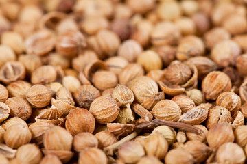 Coriander seeds, side view with shallow depth of field