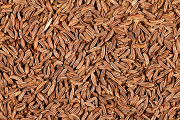 Cumin seeds