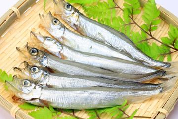 shishamo smelt