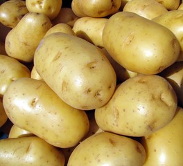 Pommes de terre à l'étal du marché
