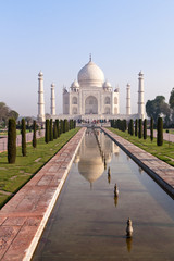 Taj Mahal, Agra, Indie - obrazy, fototapety, plakaty