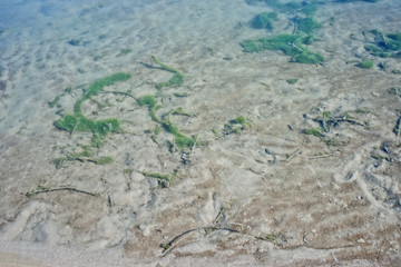 Transparent sand bottom with small dunes and green slime