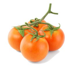 Cluster of red  tomatoes