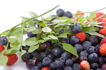 Wild strawberries and blueberries