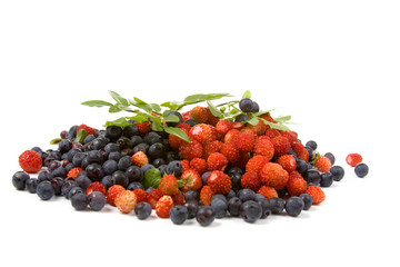 Wild strawberries and blueberries