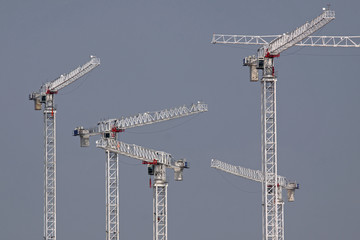 Cranes on a Large Building Site