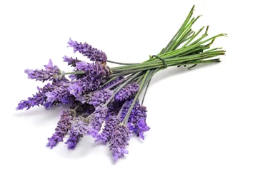 Tuinposter lavendel © nito