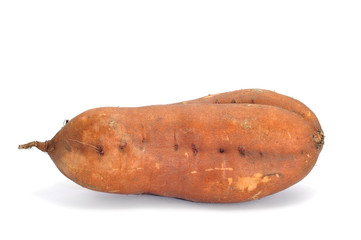 sweet potato