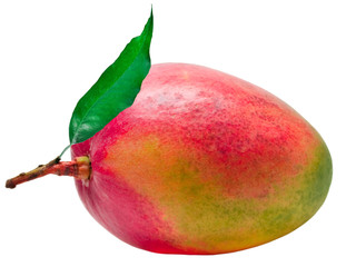 Mango isolated on white background - 31834057