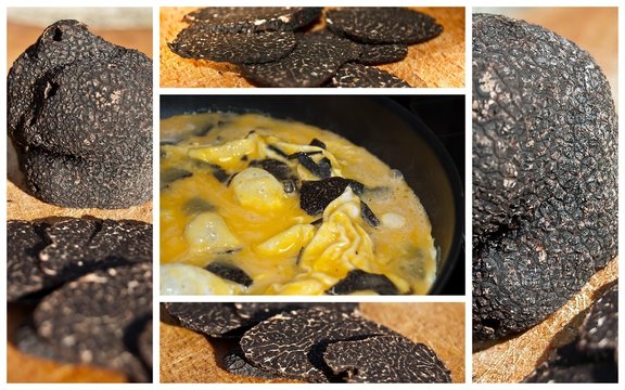 Composition de photographies de truffes noires