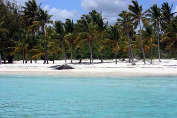 paysage d'une plage de sable blanc et océan turquoise