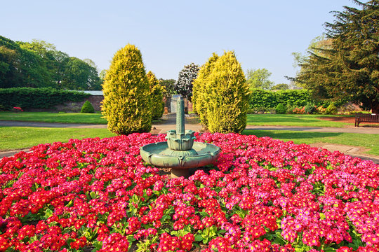 Beautiful spring park with red primroses design