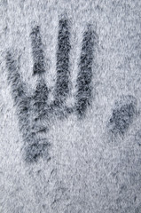 Hand Imprint in Fur