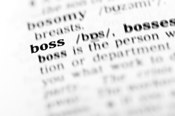 Fototapeta premium boss (the dictionary project)