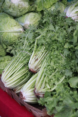 endive