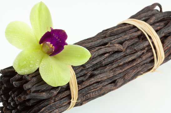 orchid&eacute;e sur gousses de vanille Bourbon, &icirc;le de la R&eacute;union