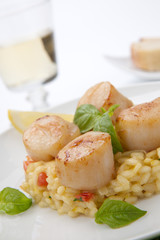 Scallops Risotto