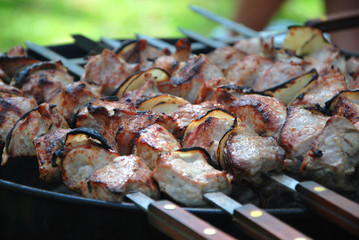 Juicy slices of meat barbecue shashlik with sauce prepare on fir