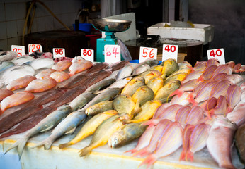 fresh fish at a fish market