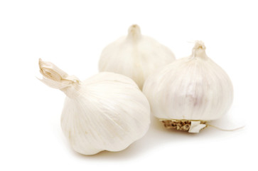Garlic isolated on white background.