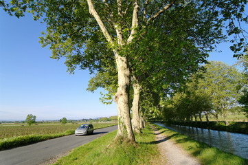 canal du midi, Languedoc-Roussillon.i