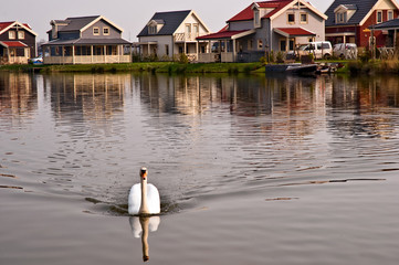 Dutch houses .