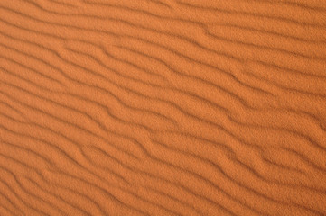 Sahara Desert