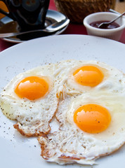 Prepared Egg