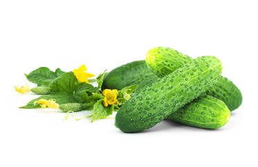 The cucumber white flowers