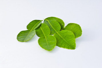 Kaffir lime leaves