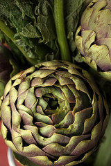 Fototapeta premium carciofo