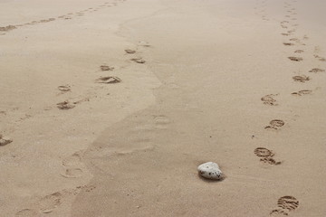Galet et traces de pas