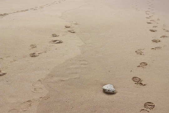 Galet et traces de pas