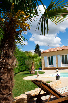 Vue sur palmier et piscine