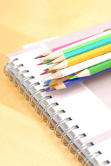 Colored Pencils on Sketch Book