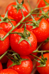 Cherry tomatoes on the wood background