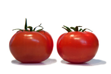 pomodori