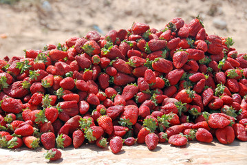 Erdbeeren auf dem Wochenmarkt von Djerba