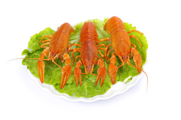 crayfish