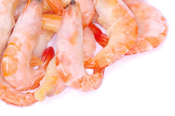 shrimp