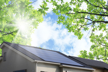 太陽光発電の屋根と新緑