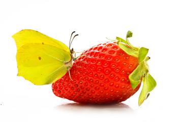 fraise