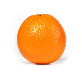 Beautiful succulent orange isolated on white ready for that next