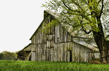 Vintage rustic old barn © Paul Orr