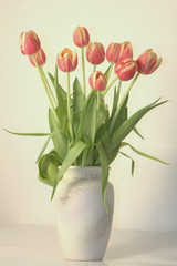Tulpen