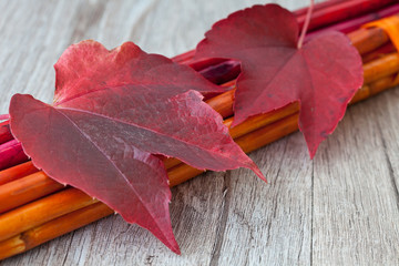 Herbstblatt